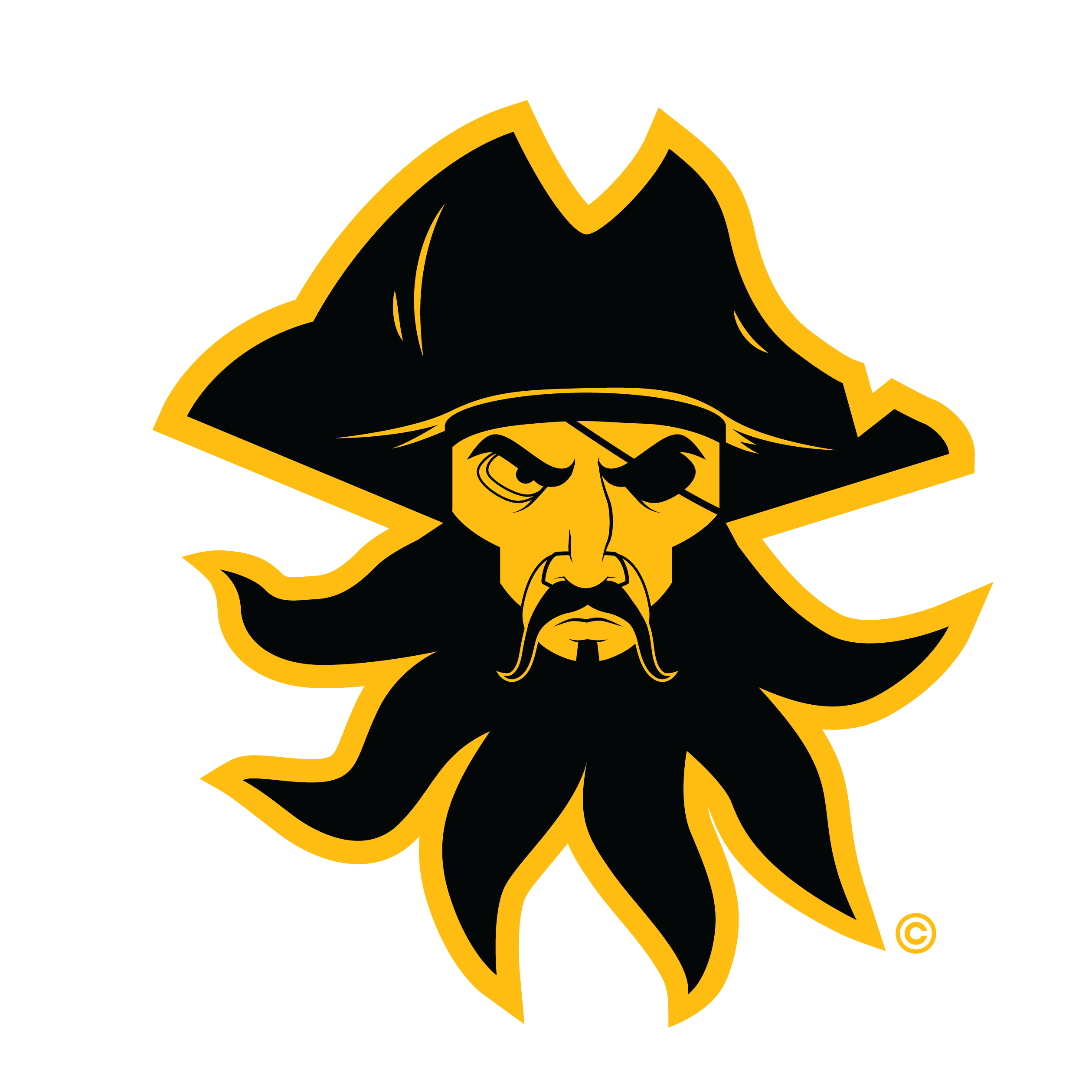 Black Beard Fire Logo