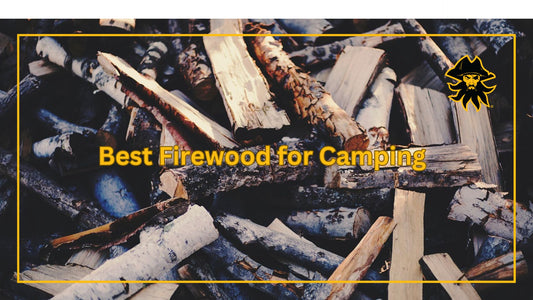 The best firewood for camping