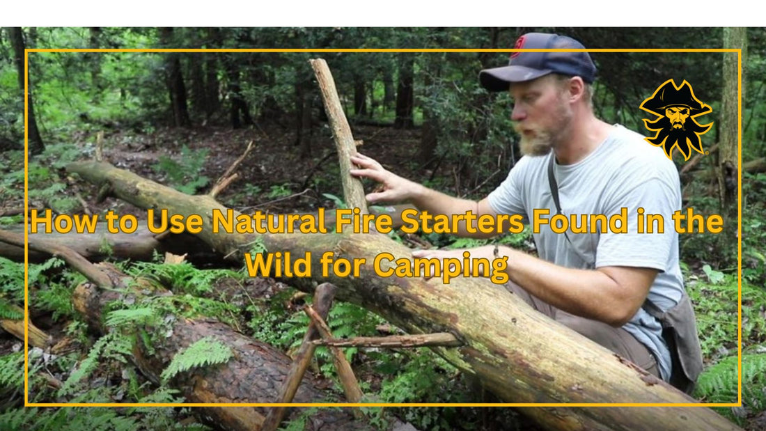 How to Use Natural Fire Starters Found in the Wild for Camping