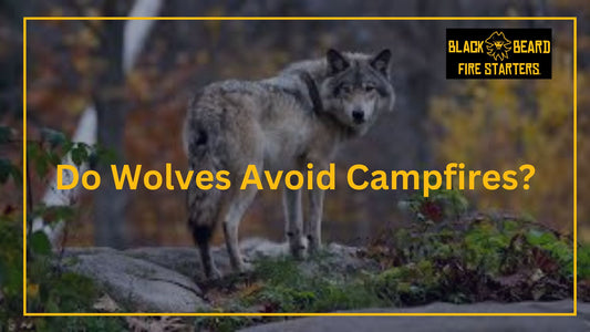 Do Wolves Avoid Campfires?