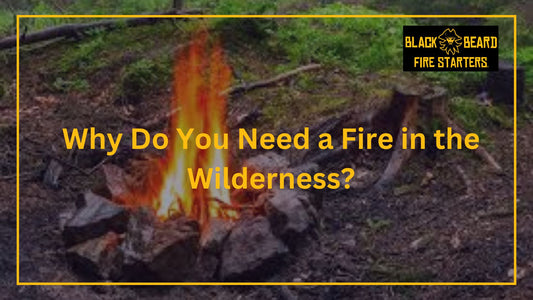 Why Do You Need a Fire in the Wilderness?